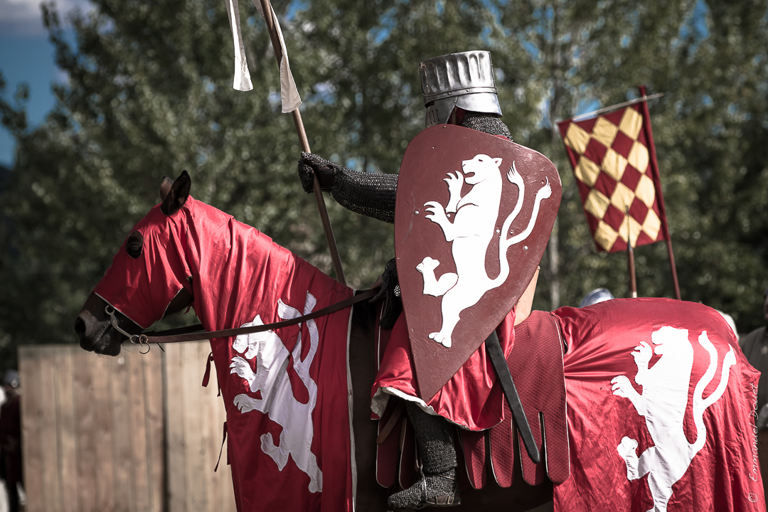 Muret 1213 2013 (31 sur 63)